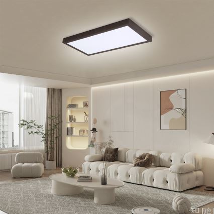 Brilagi - LED vannas istabas griestu gaismeklis ar regulējamu spilgtumu FRAME SMART LED/30W/230V 30x60 cm 3000-6000K IP44 melns + tālvadības pults