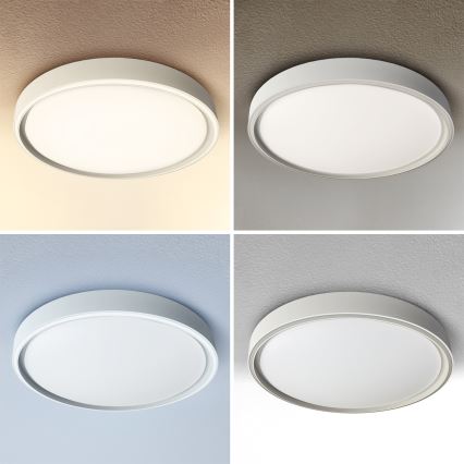 Brilagi - NANCI LED regulējams griestu gaismeklis LED/60W/230V 3000–6500K Ø 49 cm sudraba + ar tālvadības pulti