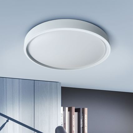 Brilagi - NANCI LED regulējams griestu gaismeklis LED/60W/230V 3000–6500K Ø 49 cm sudraba + ar tālvadības pulti