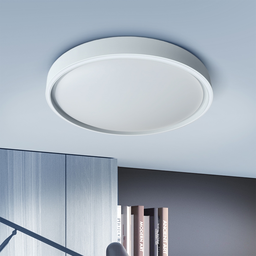Brilagi - NANCI LED regulējams griestu gaismeklis LED/60W/230V 3000–6500K Ø 49 cm sudraba + ar tālvadības pulti