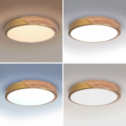 BRILAGI - LED stropu lampa ar regulējamu spilgtumu PILANA LED/48W/230V 3000-6500K ozols/zelta Ø 40 cm + ar tālvadības pulti