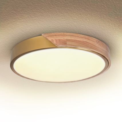 BRILAGI - LED stropu lampa ar regulējamu spilgtumu PILANA LED/48W/230V 3000-6500K ozols/zelta Ø 40 cm + ar tālvadības pulti