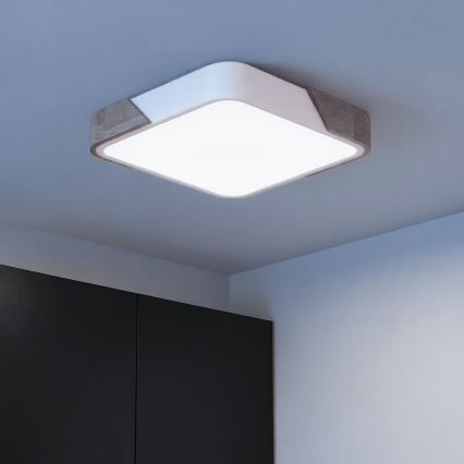 Brilagi - PILANA LED griestu gaismeklis ar regulējamu spilgtumu LED/48W/230V 3000-6500K ozols/balts 42x42 cm + tālvadības pults