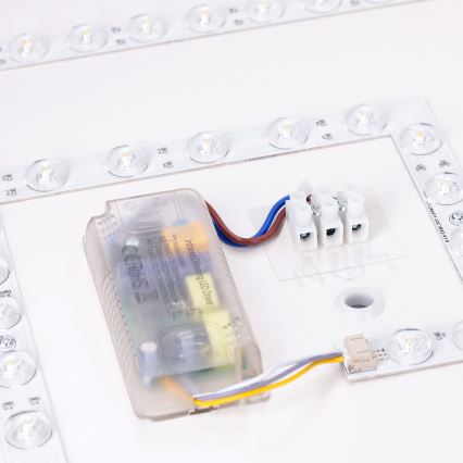 Brilagi - PILANA LED griestu gaismeklis ar regulējamu spilgtumu LED/48W/230V 3000-6500K ozols/balts 42x42 cm + tālvadības pults