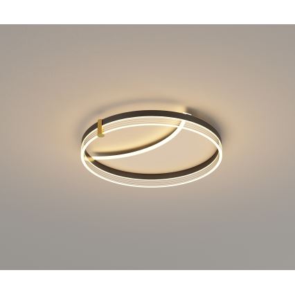 Brilagi - LED aptumšojams griestu gaismeklis SIRELI LED/47W/230V 3000-6000K Ø 40 cm + tālvadības pults