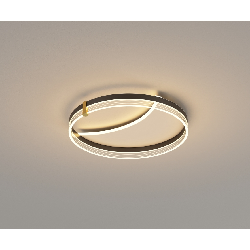 Brilagi - LED aptumšojams griestu gaismeklis SIRELI LED/47W/230V 3000-6000K Ø 40 cm + tālvadības pults