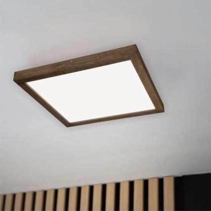 BRILAGI - LED ar regulējamu spilgtumu vannasistabas griestu gaismeklis WOODY FRAME LED/50W/230V ozols/valrieksts 60x60 cm 3000-6000K IP44 + tālvadība