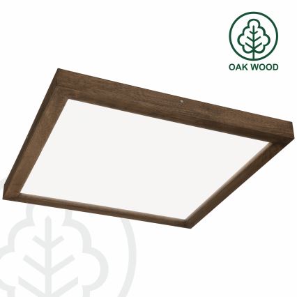 BRILAGI - LED ar regulējamu spilgtumu vannasistabas griestu gaismeklis WOODY FRAME LED/50W/230V ozols/valrieksts 60x60 cm 3000-6000K IP44 + tālvadība