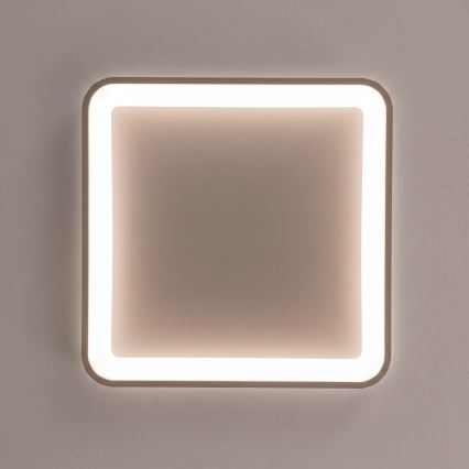BRILAGI - LED regulējamā griestu lampa FALCON SLIM LED/50W/230V 3000-6500K 50x50 cm bēša + ar tālvadības pulti