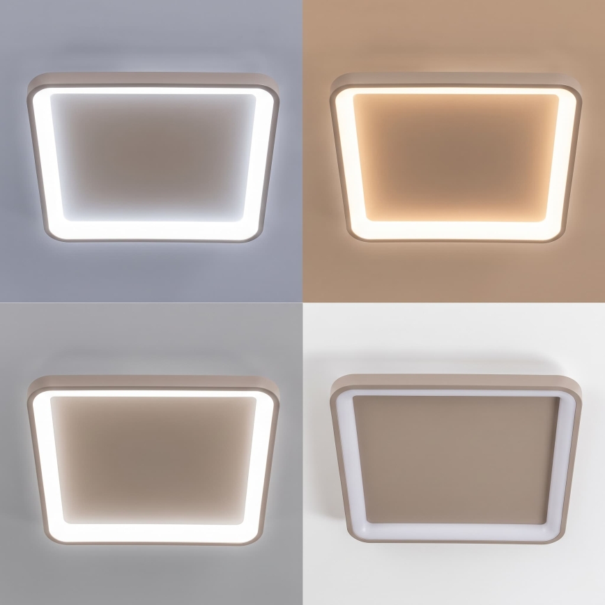 BRILAGI - LED regulējamā griestu lampa FALCON SLIM LED/50W/230V 3000-6500K 50x50 cm bēša + ar tālvadības pulti
