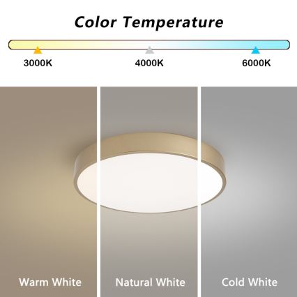 BRILAGI - Regulējama LED griestu lampa POOL LED/48W/230V 3000-6000K Ø 40 cm zelta + tālvadības pults