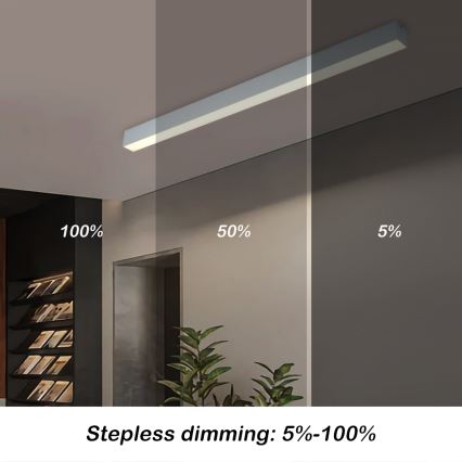 Brilagi - LED griestu lampa ar regulējamu spilgtumu SLEEKLINE SMART LED/40W/230V 3000-6000K Wi-Fi Tuya sudraba + tālvadības pults