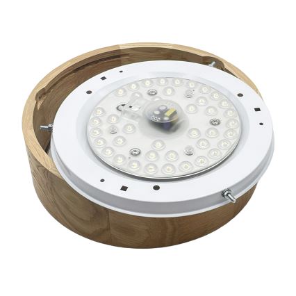 Brilagi - LED griestu gaismeklis CARVALHO LED/20W/230V, ozola apdare, Ø 27,5 cm