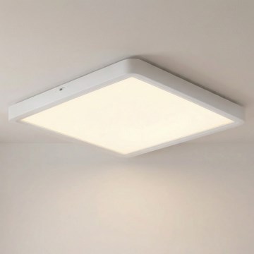 Brilagi - LED griestu gaismeklis ESTELA SQUARE LED/24W/230V 31x31 cm balta