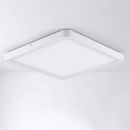 Brilagi - LED griestu gaismeklis ESTELA SQUARE LED/24W/230V 31x31 cm balta