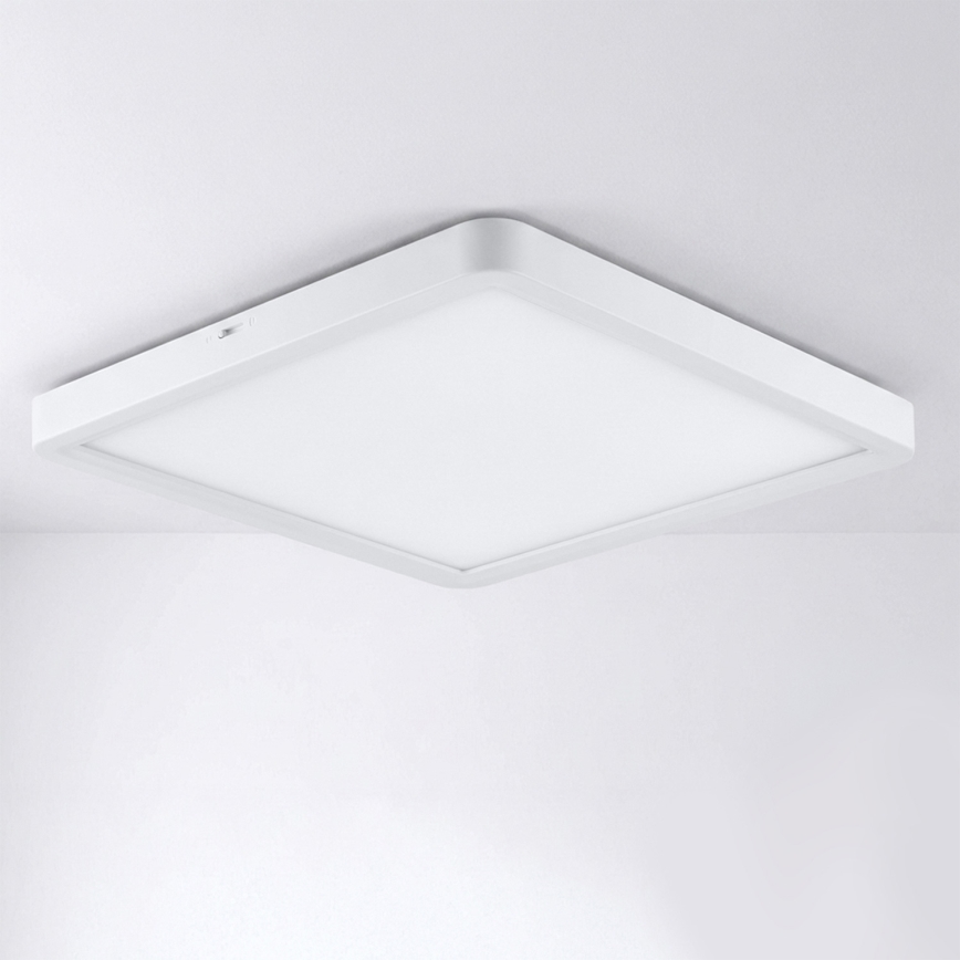 Brilagi - LED griestu gaismeklis ESTELA SQUARE LED/24W/230V 31x31 cm balta