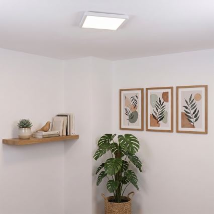 Brilagi - LED griestu gaismeklis ESTELA SQUARE LED/24W/230V 31x31 cm balta