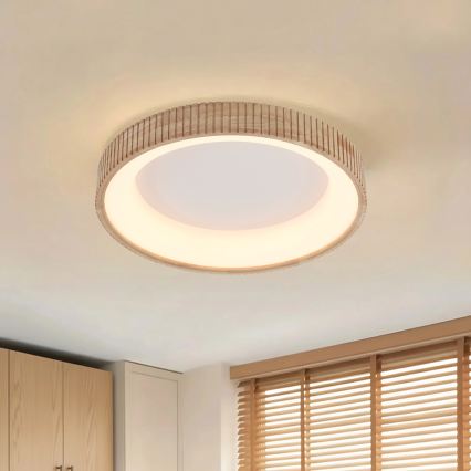 Brilagi - LED griestu gaismeklis FALCON WOOD MODERN LED/40W/230V 3000/4000/6000K Ø 60 cm, koka