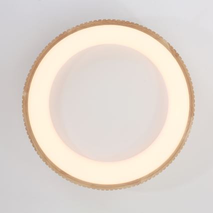 Brilagi - LED griestu gaismeklis FALCON WOOD MODERN LED/40W/230V 3000/4000/6000K Ø 60 cm, koka