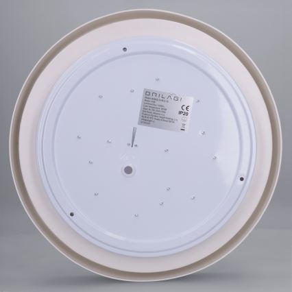 Brilagi - LED griestu gaismeklis MATTEO LED/24W/230V Ø 31 cm, zaļš