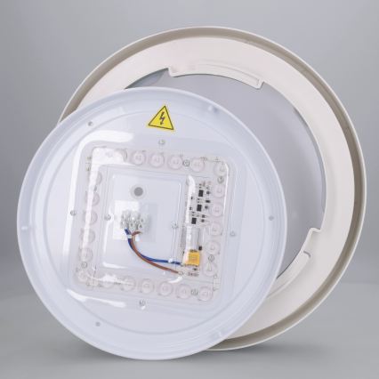 Brilagi - LED griestu gaismeklis MATTEO LED/24W/230V Ø 31 cm, zaļš