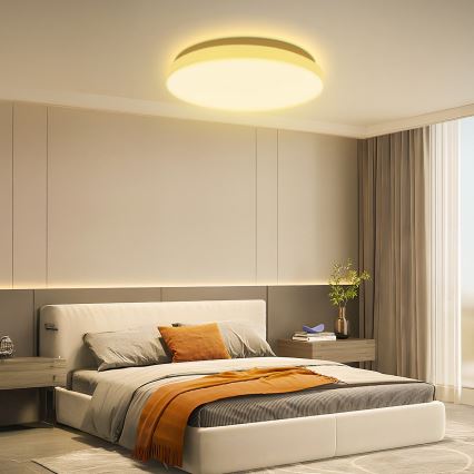 Brilagi - LED griestu gaismeklis MILKY WAY LED/24W/230V 3000K Ø 38 cm