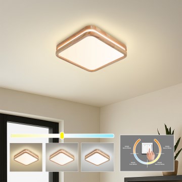 BRILAGI - LED griestu gaismeklis MOLINA SQUARE LED/32W/230V 3000/4000/6000K ozols 30x30 cm