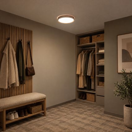 BRILAGI - LED griestu gaismeklis NATURA LED/20W/230V 4000K Ø 33,7 cm