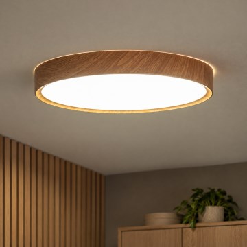 BRILAGI - LED griestu gaismeklis NATURA LED/24W/230V 4000K Ø 38,3 cm