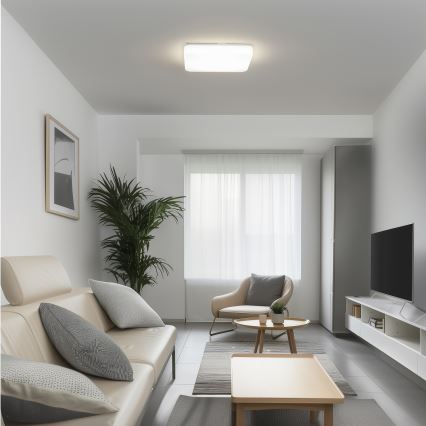 Brilagi - LED griestu gaismeklis PLAIN LED/24W/230V 37,5x37,5 cm 3000K