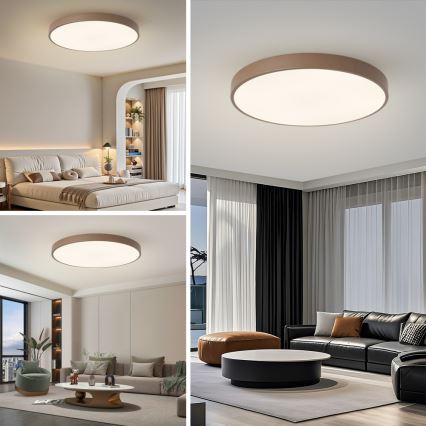 Brilagi - LED griestu gaismeklis POOL LED/100W/230V 3000/4000/6000K diametrs 80 cm brūns