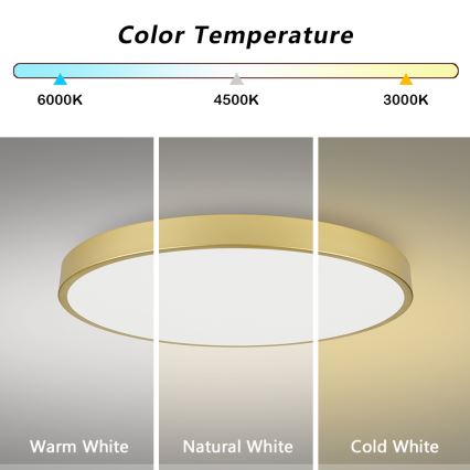 Brilagi - LED griestu lampa POOL LED/128W/230V 3000/4000/6000K Ø 100 cm zelta