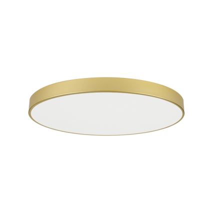 Brilagi - LED griestu lampa POOL LED/128W/230V 3000/4000/6000K Ø 100 cm zelta
