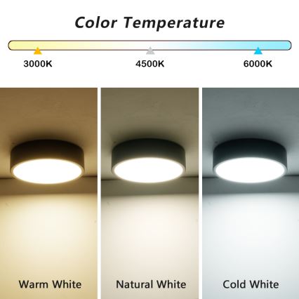 Brilagi - LED griestu gaismeklis POOL LED/18W/230V 3000/4500/6000K Ø 20 cm melns