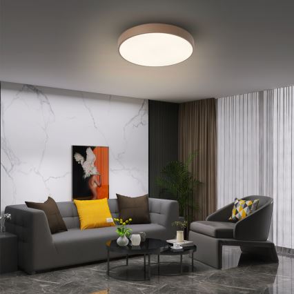 Brilagi - LED griestu lampa POOL LED/36W/230V 3000/4000/6000K Ø 30 cm brūna