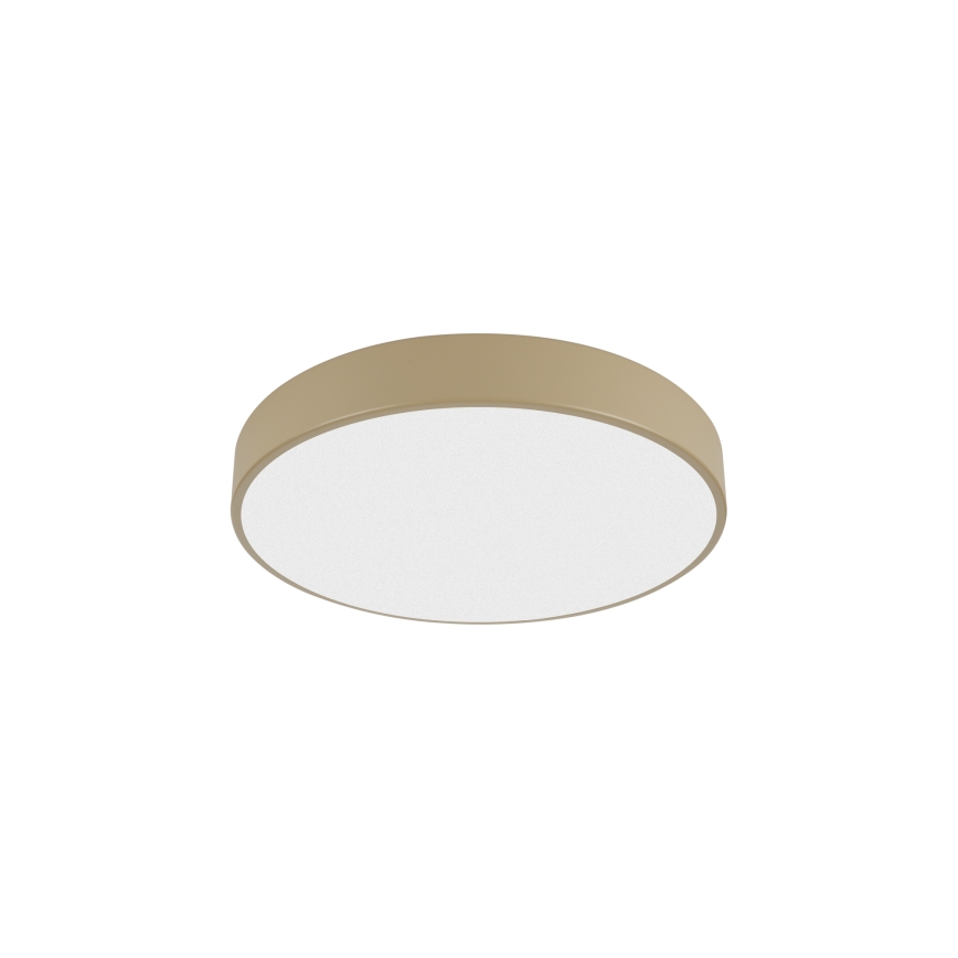 Brilagi - LED griestu gaismeklis POOL LED/36W/230V 3000/4500/6000K Ø 30 cm bēša
