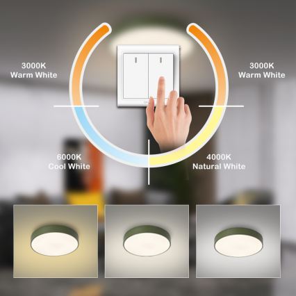 Brilagi - LED griestu lampa POOL LED/48W/230V 3000/4000/6000K Ø 40 cm zaļa