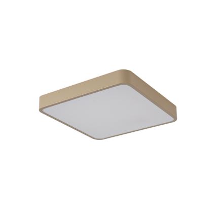 Brilagi - LED griestu gaismeklis POOL LED/48W/230V 3000/4000/6000K 50x50 cm bēšs