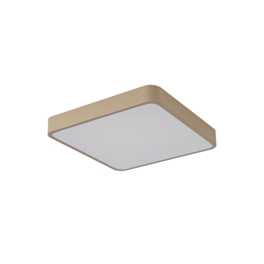 Brilagi - LED griestu gaismeklis POOL LED/48W/230V 3000/4000/6000K 50x50 cm bēšs