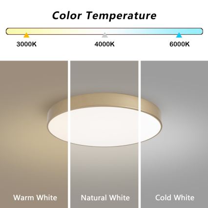 BRILAGI - LED griestu gaismeklis POOL LED/60W/230V 3000/4000/6000K Ø 50 cm zelta