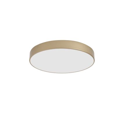BRILAGI - LED griestu gaismeklis POOL LED/60W/230V 3000/4000/6000K Ø 50 cm zelta