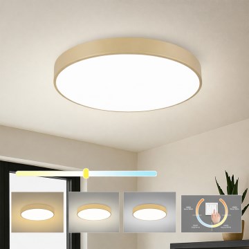 Brilagi - LED griestu gaismeklis POOL LED/60W/230V 3000/4000/6000K Ø 60 cm bēšs