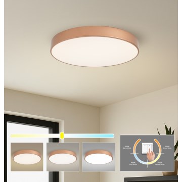 BRILAGI - LED griestu gaismeklis POOL LED/60W/230V 3000/4000/6000K Ø 60 cm miedzains