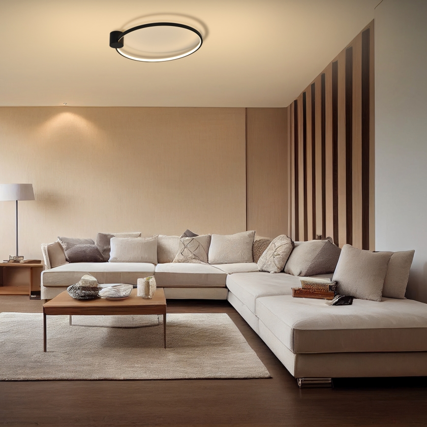 Brilagi - LED griestu gaismeklis RINGO LED/18W/230V Ø 50 cm