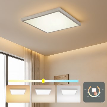 Brilagi - LED griestu gaismeklis vannas istabai FRAME LED/50W/230V 3000/4000/6000K 60x60 cm IP44 sudraba