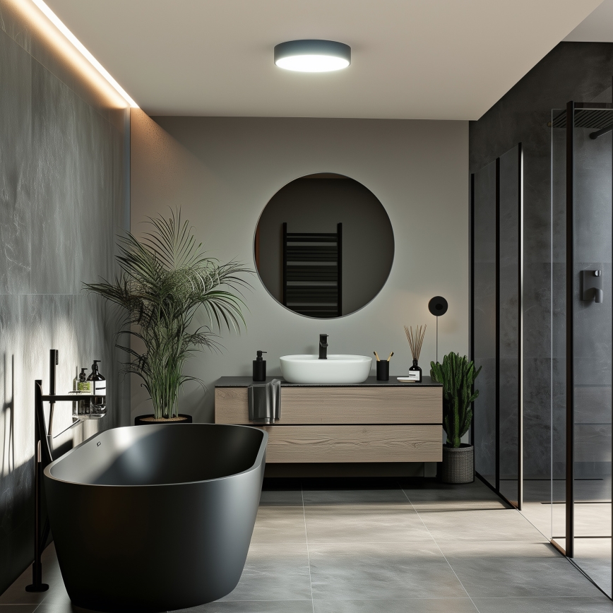 BRILAGI - LED griestu gaismeklis vannas istabai POOL LED/24W/230V 3000/4000/5500K Ø 30 cm IP54 melns