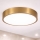 Brilagi - LED griestu gaismeklis vannas istabai POOL LED/36W/230V 3000/4000/5500K Ø 40 cm IP54 bronza