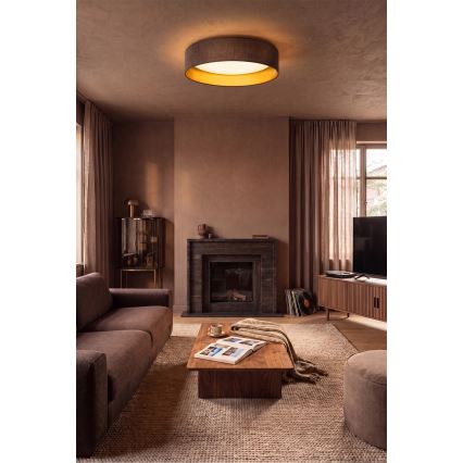 BRILAGI - LED griestu lampa VELVET SIMPLE LED/24W/230V 3000K Ø 45 cm brūna/zelta