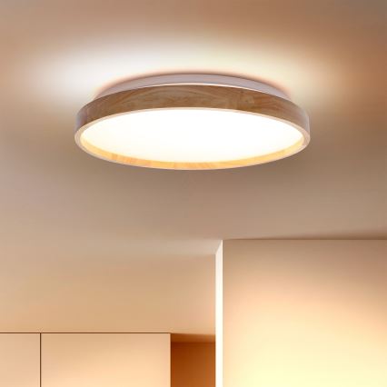 Brilagi - LED Griestu lampa ALSON LED/24W/230V ozols