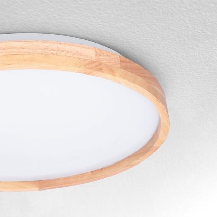 Brilagi - LED Griestu lampa ALSON LED/24W/230V ozols